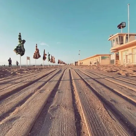 Appartement Le Grand Large Superbe Piscine Chauffée Du 1 Juin Au 15 Septembre
